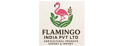 flamigo